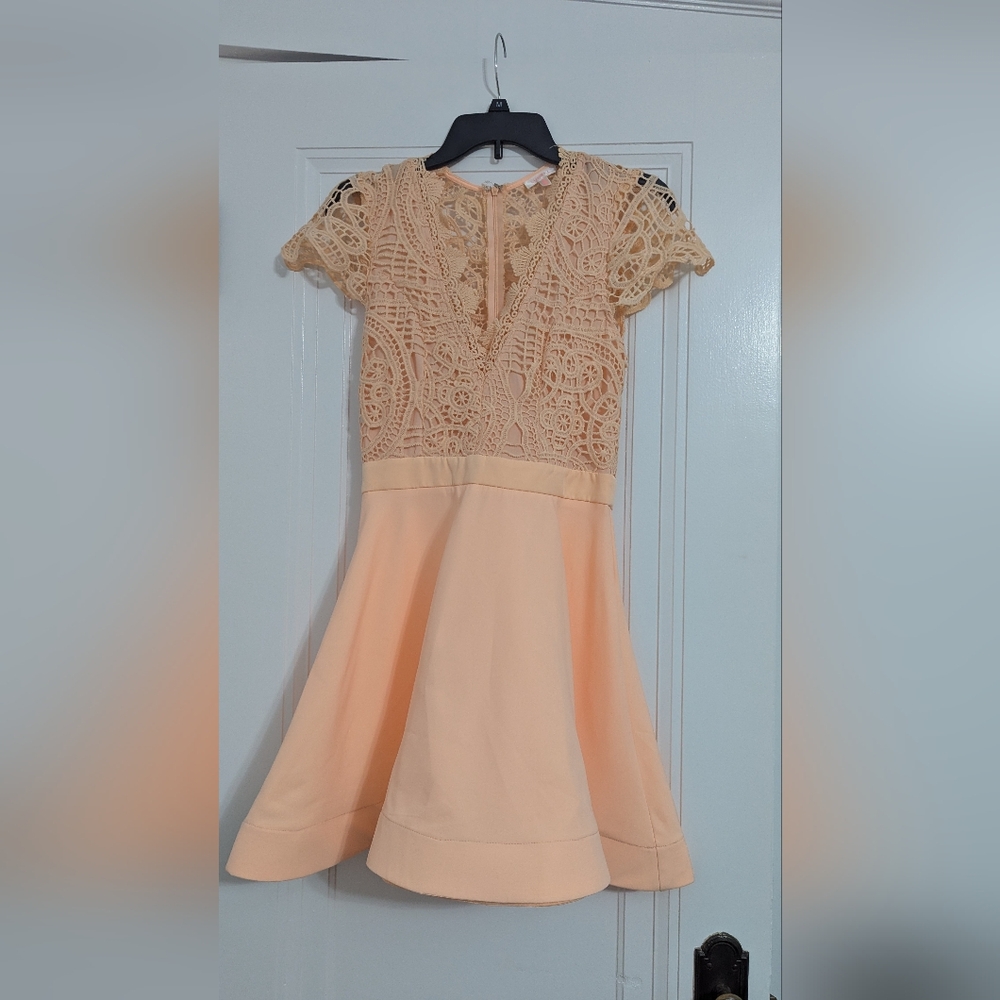 Elegant Lace Peach Dress